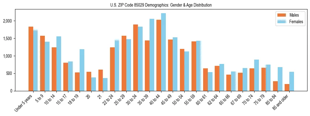Bar chart showing the population distribution of US ZIP Code 85029 by age group and gender, based on 2023 ACS data.