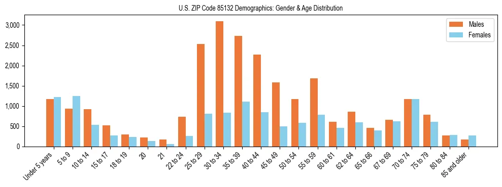 Bar chart showing the population distribution of US ZIP Code 85132 by age group and gender, based on 2023 ACS data.