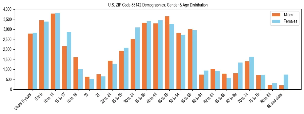 Bar chart showing the population distribution of US ZIP Code 85142 by age group and gender, based on 2023 ACS data.