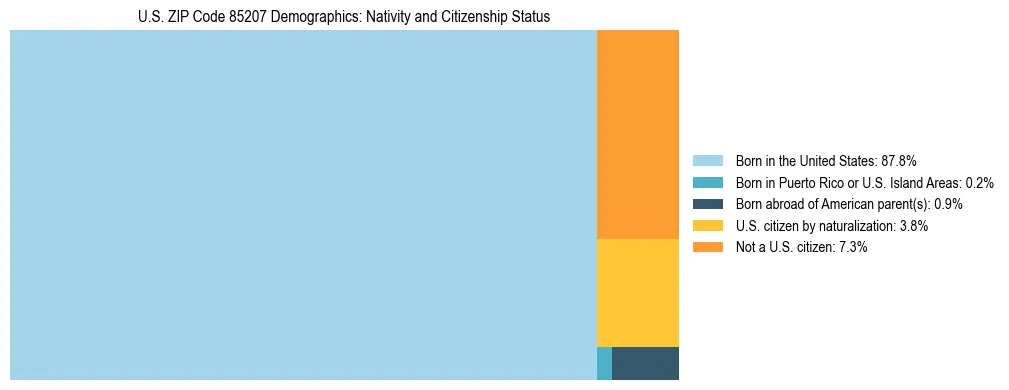 Treemap showing the population distribution by nativity and citizenship status in US ZIP Code 85207 based on U.S. Census data.