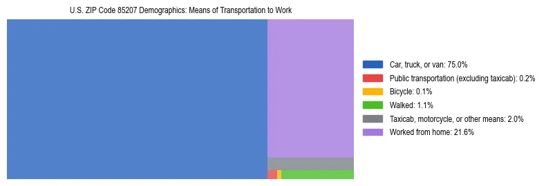 Treemap showing means of transportation to work distribution in US ZIP Code 85207.