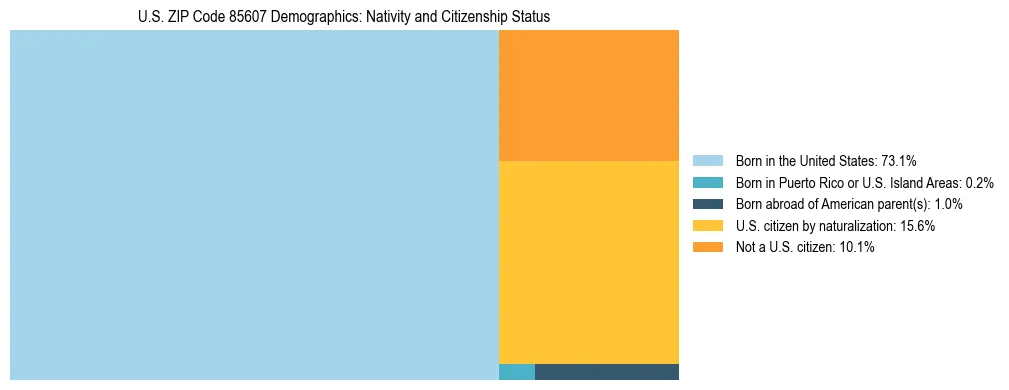 Treemap showing the population distribution by nativity and citizenship status in US ZIP Code 85607 based on U.S. Census data.