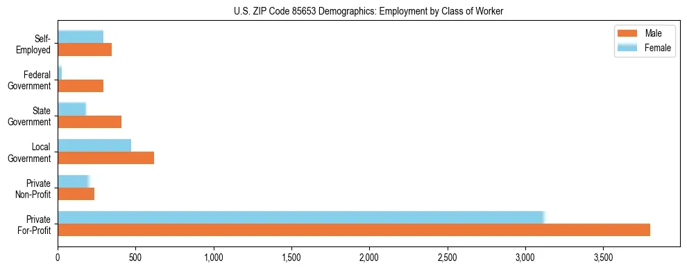 Horizontal bar chart showing employment distribution by class of worker and gender in US ZIP Code 85653, based on 2023 ACS data.