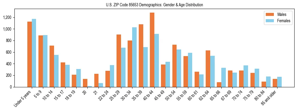 Bar chart showing the population distribution of US ZIP Code 85653 by age group and gender, based on 2023 ACS data.