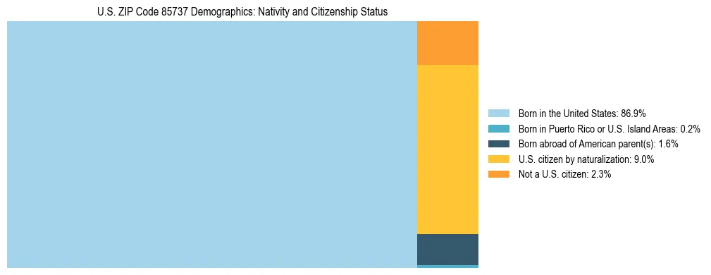 Treemap showing the population distribution by nativity and citizenship status in US ZIP Code 85737 based on U.S. Census data.