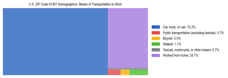 Treemap showing means of transportation to work distribution in US ZIP Code 91307.