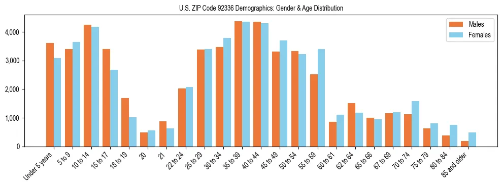 Bar chart showing the population distribution of US ZIP Code 92336 by age group and gender, based on 2023 ACS data.