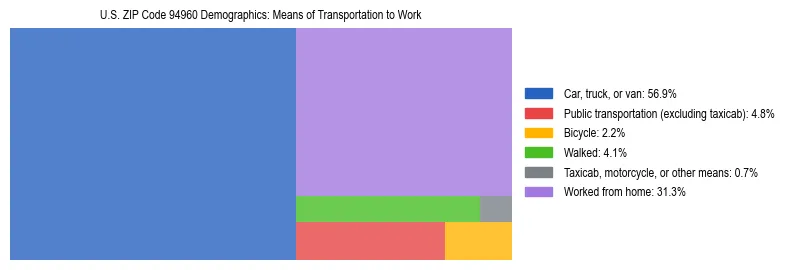 Treemap showing means of transportation to work distribution in US ZIP Code 94960.