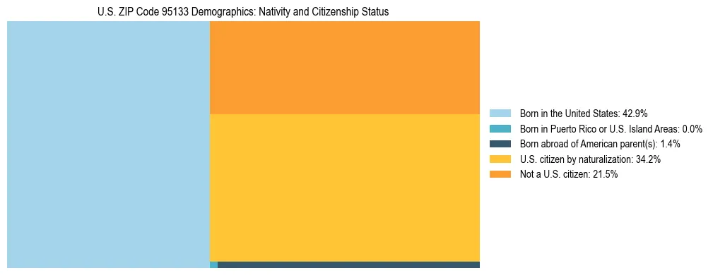 Treemap showing the population distribution by nativity and citizenship status in US ZIP Code 95133 based on U.S. Census data.