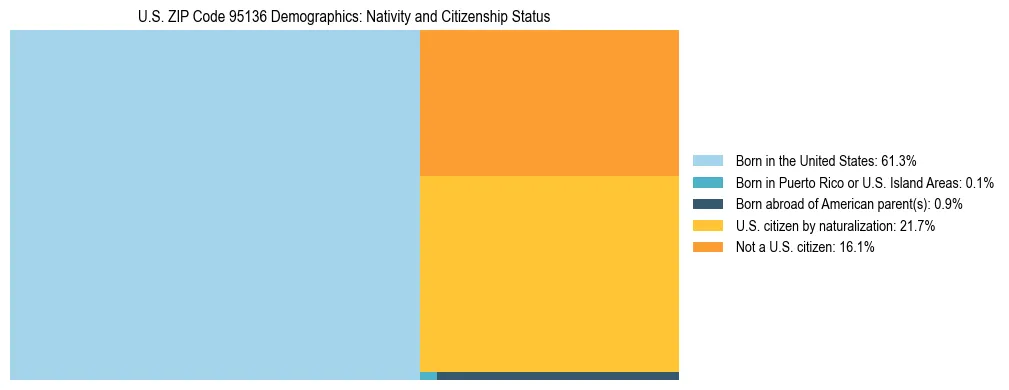 Treemap showing the population distribution by nativity and citizenship status in US ZIP Code 95136 based on U.S. Census data.