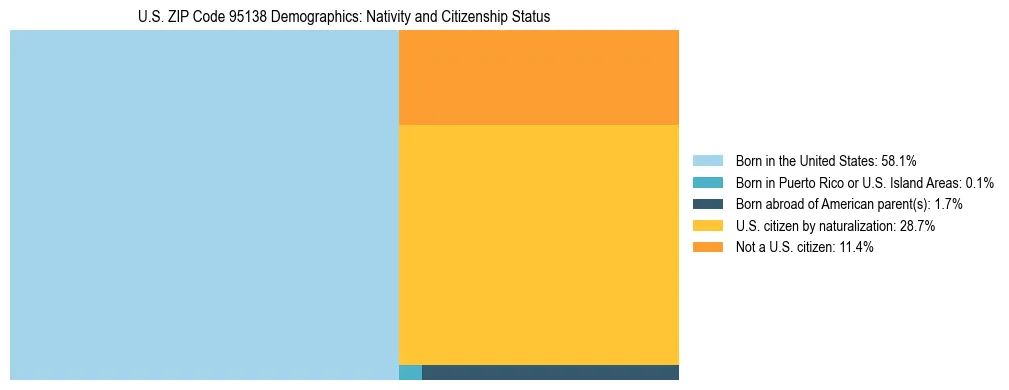 Treemap showing the population distribution by nativity and citizenship status in US ZIP Code 95138 based on U.S. Census data.