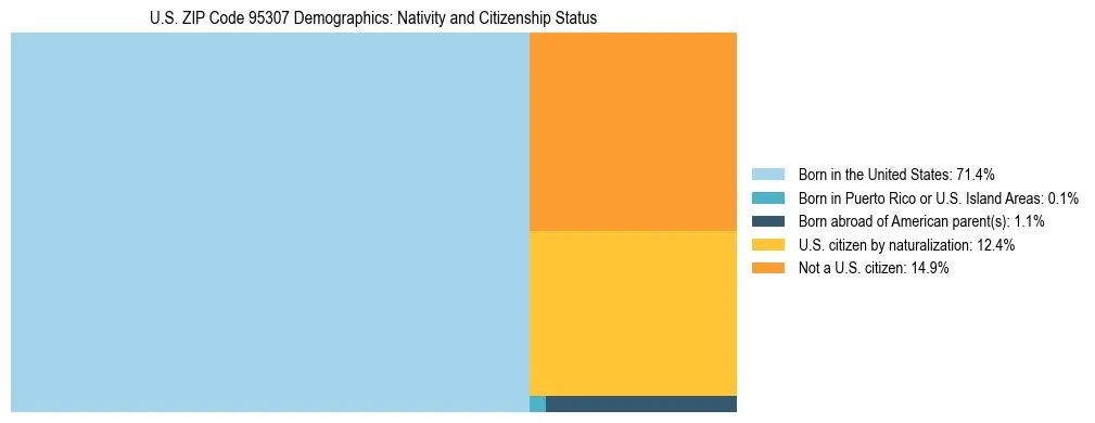 Treemap showing the population distribution by nativity and citizenship status in US ZIP Code 95307 based on U.S. Census data.