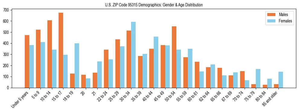 Bar chart showing the population distribution of US ZIP Code 95315 by age group and gender, based on 2023 ACS data.
