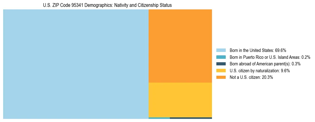 Treemap showing the population distribution by nativity and citizenship status in US ZIP Code 95341 based on U.S. Census data.