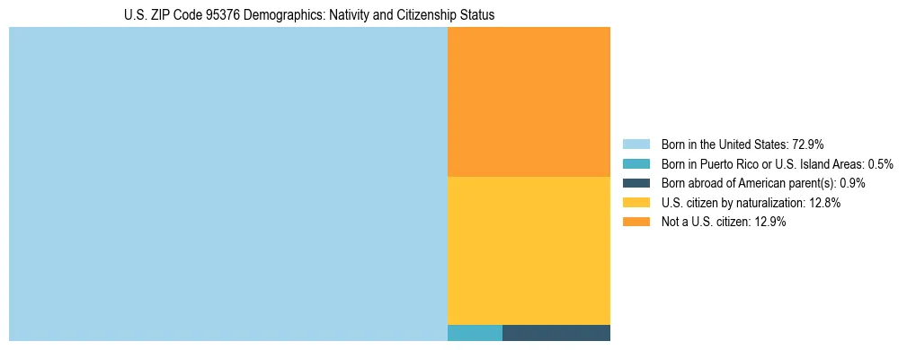 Treemap showing the population distribution by nativity and citizenship status in US ZIP Code 95376 based on U.S. Census data.