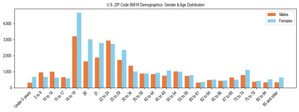 Bar chart showing the population distribution of US ZIP Code 95616 by age group and gender, based on 2023 ACS data.