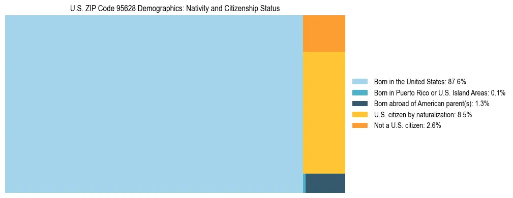 Treemap showing the population distribution by nativity and citizenship status in US ZIP Code 95628 based on U.S. Census data.
