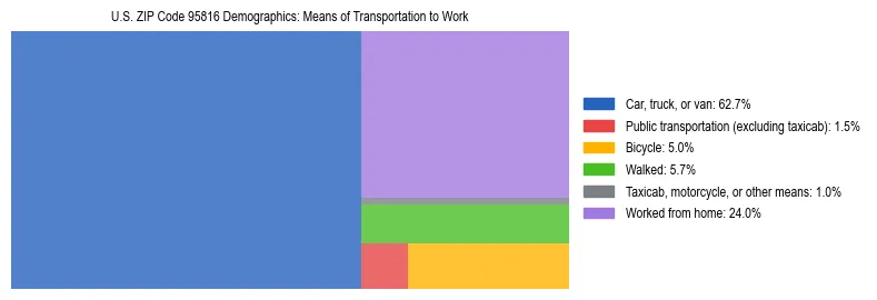 Treemap showing means of transportation to work distribution in US ZIP Code 95816.
