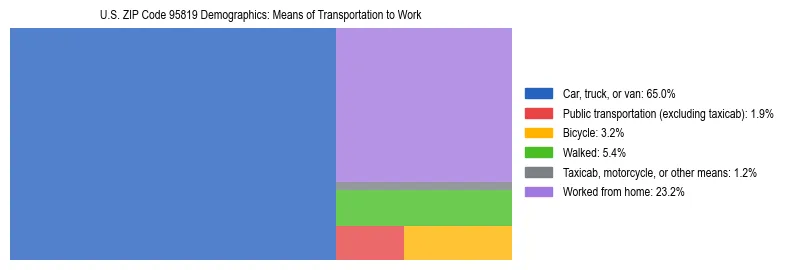 Treemap showing means of transportation to work distribution in US ZIP Code 95819.