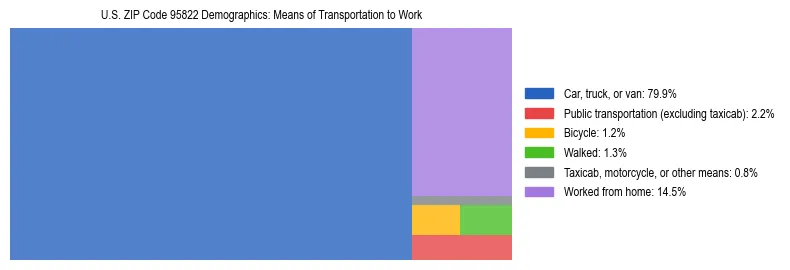 Treemap showing means of transportation to work distribution in US ZIP Code 95822.