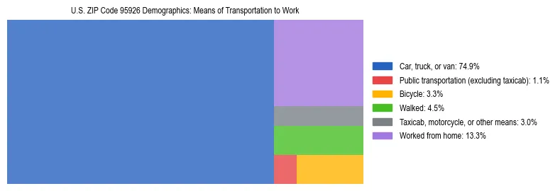 Treemap showing means of transportation to work distribution in US ZIP Code 95926.