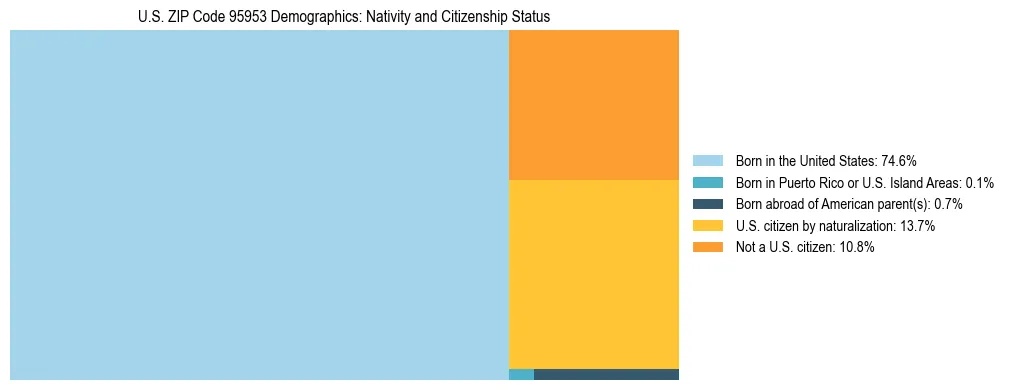Treemap showing the population distribution by nativity and citizenship status in US ZIP Code 95953 based on U.S. Census data.
