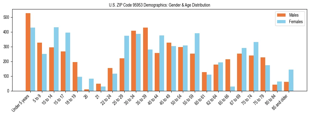 Bar chart showing the population distribution of US ZIP Code 95953 by age group and gender, based on 2023 ACS data.