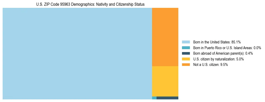 Treemap showing the population distribution by nativity and citizenship status in US ZIP Code 95963 based on U.S. Census data.