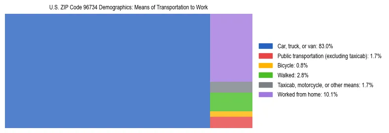 Treemap showing means of transportation to work distribution in US ZIP Code 96734.
