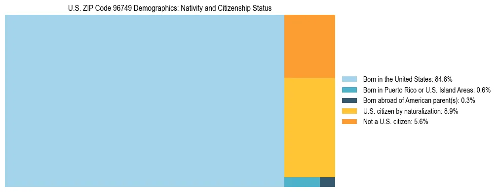 Treemap showing the population distribution by nativity and citizenship status in US ZIP Code 96749 based on U.S. Census data.