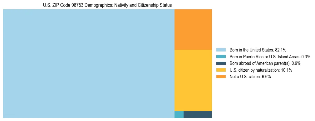 Treemap showing the population distribution by nativity and citizenship status in US ZIP Code 96753 based on U.S. Census data.