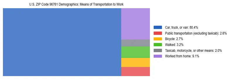 Treemap showing means of transportation to work distribution in US ZIP Code 96761.