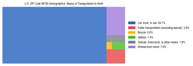Treemap showing means of transportation to work distribution in US ZIP Code 96795.