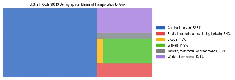 Treemap showing means of transportation to work distribution in US ZIP Code 96813.