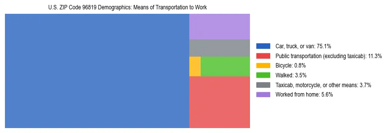 Treemap showing means of transportation to work distribution in US ZIP Code 96819.