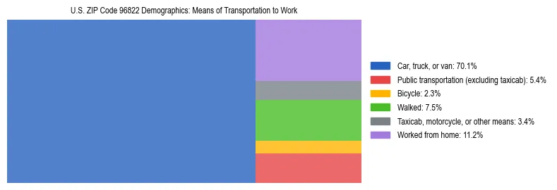Treemap showing means of transportation to work distribution in US ZIP Code 96822.