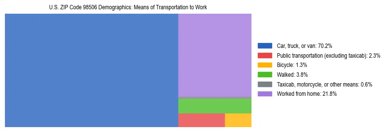 Treemap chart illustrating how workers in US ZIP Code 98506 commute to work based on 2023 ACS data.