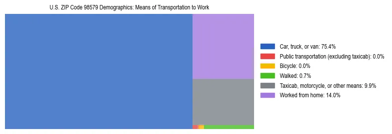 Treemap chart illustrating how workers in US ZIP Code 98579 commute to work based on 2023 ACS data.