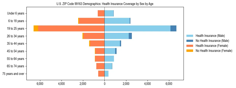 Pyramid chart showing health insurance coverage distribution by age and sex in US ZIP Code 99163 based on 2023 ACS data.