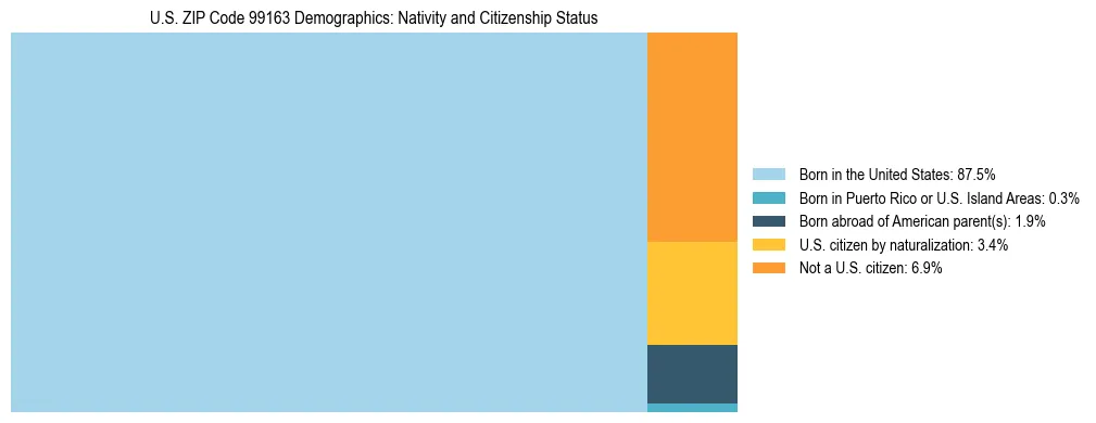 Treemap showing population distribution by nativity and citizenship status in US ZIP Code 99163 based on 2023 ACS data.