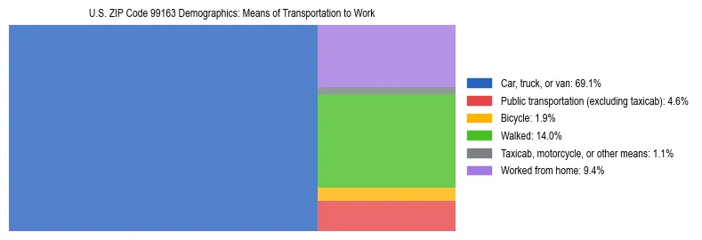 Treemap chart illustrating how workers in US ZIP Code 99163 commute to work based on 2023 ACS data.