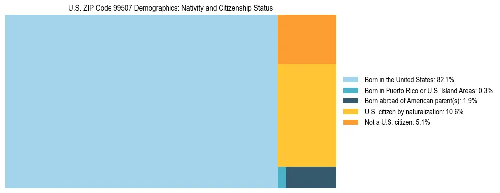 Treemap showing population distribution by nativity and citizenship status in US ZIP Code 99507 based on 2023 ACS data.