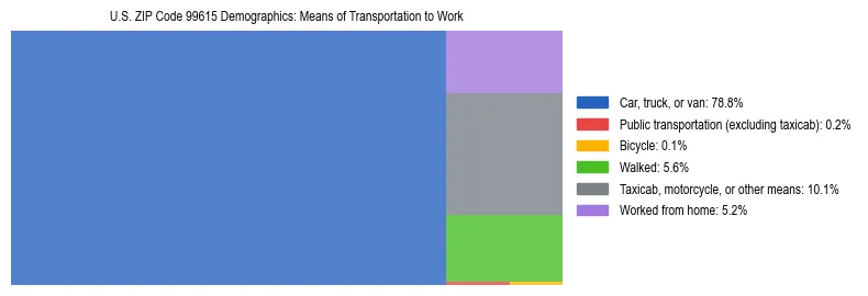 Treemap chart illustrating how workers in US ZIP Code 99615 commute to work based on 2023 ACS data.