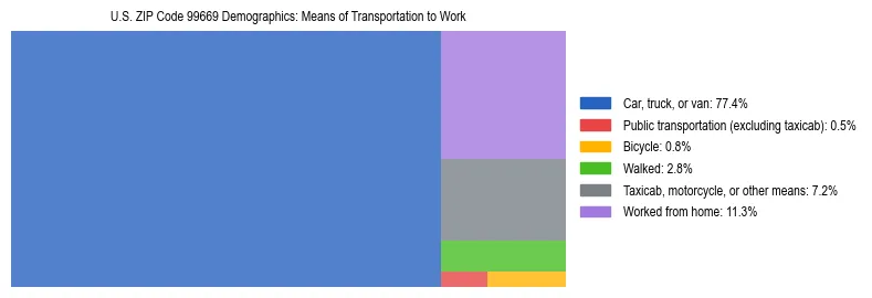 Treemap chart illustrating how workers in US ZIP Code 99669 commute to work based on 2023 ACS data.