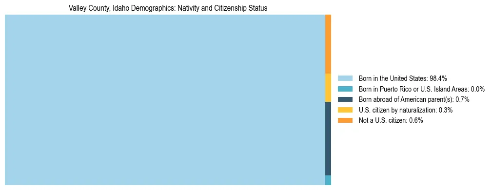 Treemap showing the population distribution by nativity and citizenship status in Valley County, Idaho based on U.S. Census data.