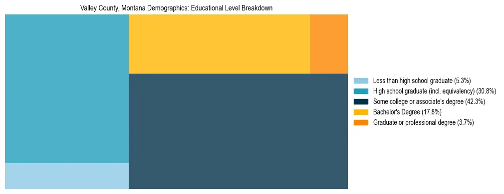 Treemap chart illustrating the educational attainment breakdown for population 25 years and over in Valley County, Montana.