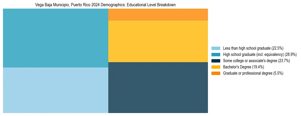 Treemap chart illustrating the educational attainment breakdown for population 25 years and over in Vega Baja Municipio, Puerto Rico.
