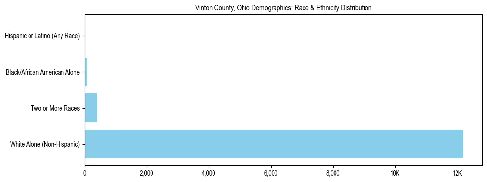 Race and Ethnicity Distribution Chart for Vinton County, Ohio