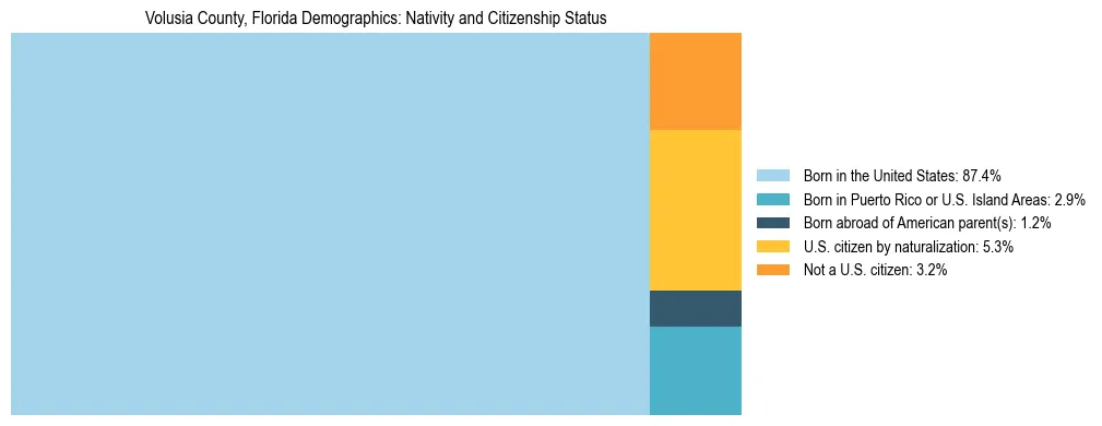 Treemap showing the population distribution by nativity and citizenship status in Volusia County, Florida based on U.S. Census data.