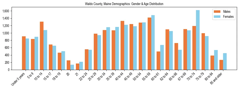 Population pyramid for Waldo County, Maine showing male vs female age distribution based on 2023 ACS data.
